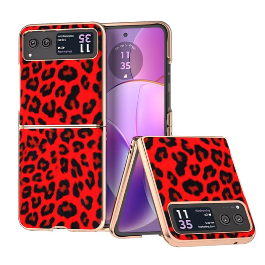 For Motorola Razr 40 Nano Plating Leopard Print Phone Case(Red) - Motorola Cases by buy2fix | Online Shopping UK | buy2fix