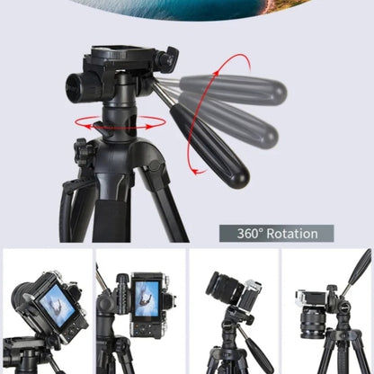 JMARY KP-2274 5-section Adjustable Monopod Multi-function Outdoor Photography Tripod - Tripods by Jmary | Online Shopping UK | buy2fix