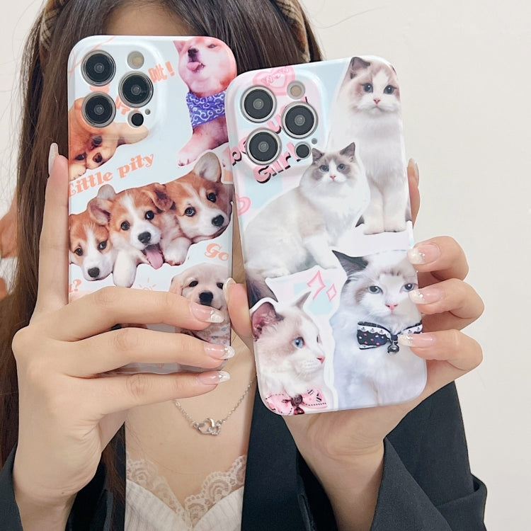 For iPhone 15 Pro Max PC Phone Case(White Cat) - iPhone 15 Pro Max Cases by buy2fix | Online Shopping UK | buy2fix