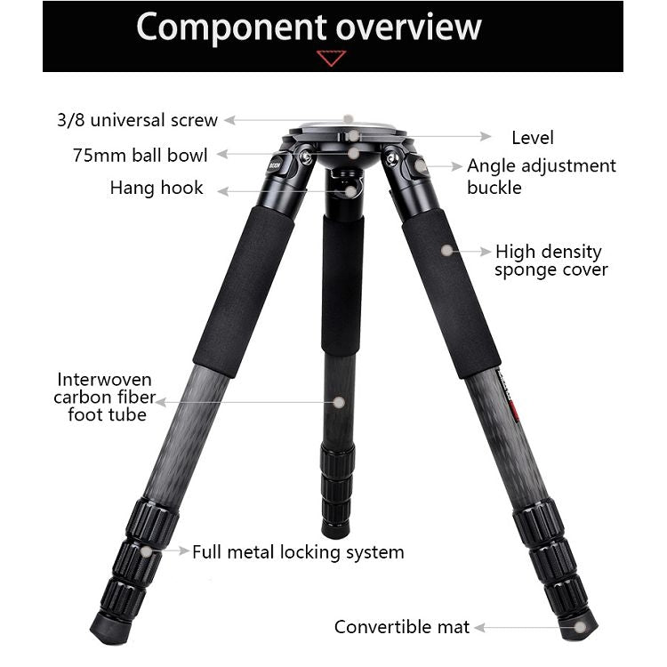 BEXIN ST364C Rugged Camcorder Photographic Carbon Fiber Big Tripod, Max Tube: 36mm - Tripods by BEXIN | Online Shopping UK | buy2fix