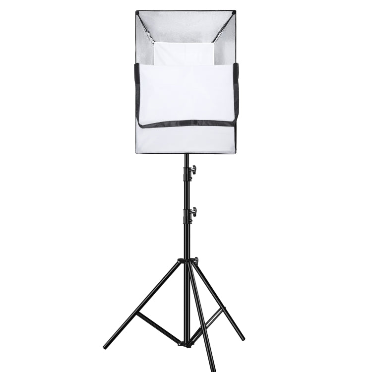 PULUZ 120W Photo Studio Strobe Flash Light Kit with Softbox Reflector & Tripod(US Plug) - Shoe Mount Flashes by PULUZ | Online Shopping UK | buy2fix