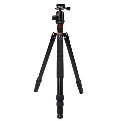 Triopo MT-2804C Adjustable Portable Aluminum Tripod (Gold) with NB-2S Ball Head (Black) for Canon Nikon Sony DSLR Camera - Tripods by TRIOPO | Online Shopping UK | buy2fix