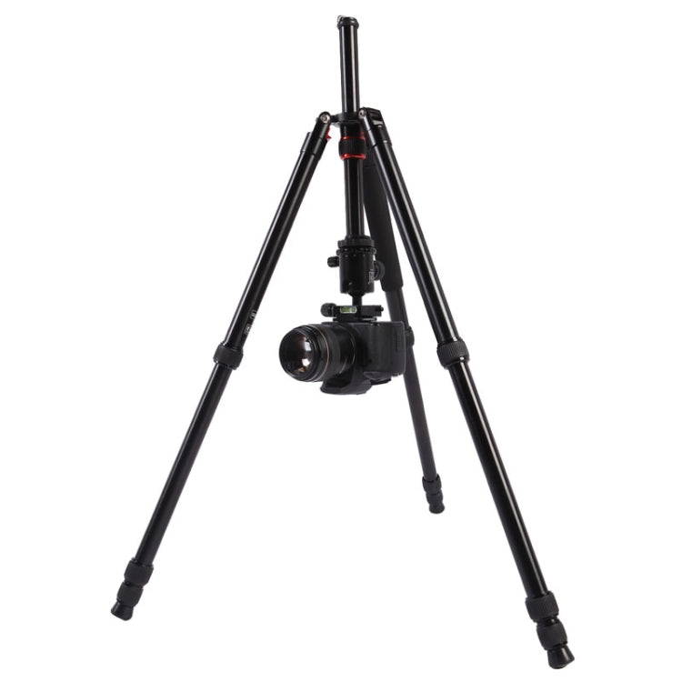 Triopo MT-2804C Adjustable Portable Aluminum Tripod (Gold) with NB-2S Ball Head (Black) for Canon Nikon Sony DSLR Camera - Tripods by TRIOPO | Online Shopping UK | buy2fix