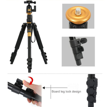 Q555 4-Section Folding Legs Aluminum Alloy Tripod Mount Monopod Holder with Ball Head - Camera Accessories by buy2fix | Online Shopping UK | buy2fix