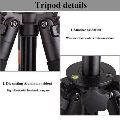 Q620 4-Section Folding Legs Heavy Duty Aluminum Alloy Tripod With Three-Dimensional Damping Tripod Heads - Camera Accessories by buy2fix | Online Shopping UK | buy2fix